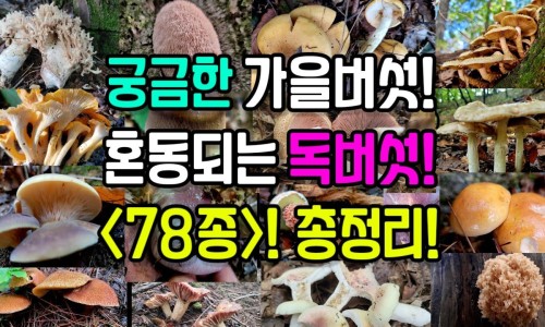 降血脂的药什么时候吃最好